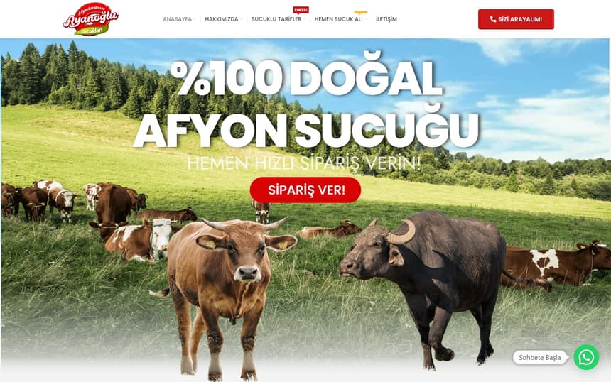 Ayanoğlu Et web sitesinin ana sayfası